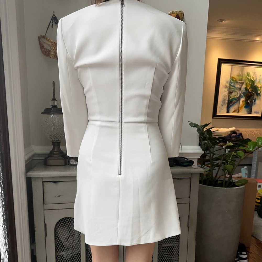 Alice And Olivia Stevie Double Layer Mini Dress - image 3